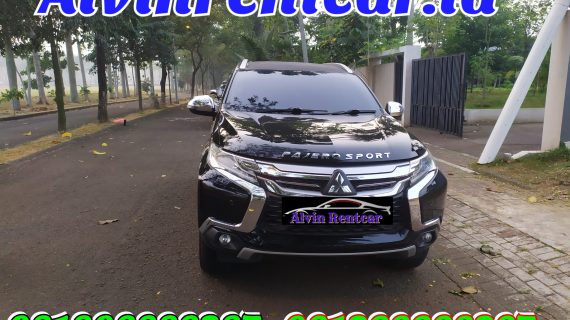 Rental Mobil di Rawa Buaya